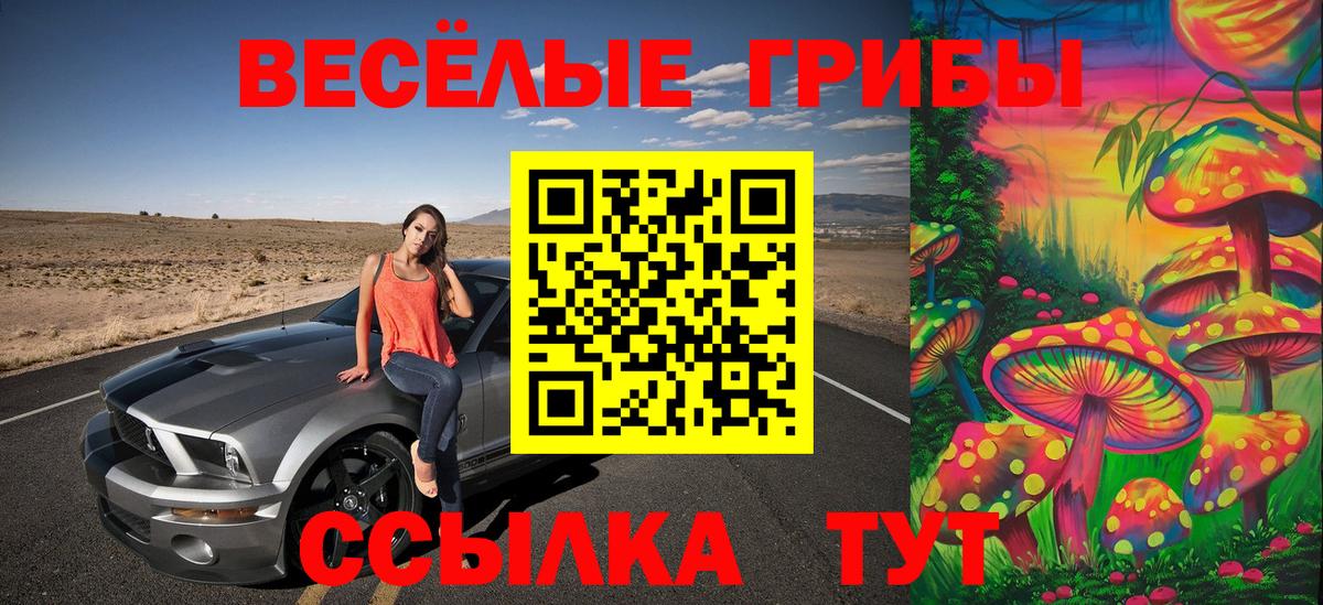 Псилоцибиновые грибы мицелий Зеленокумск