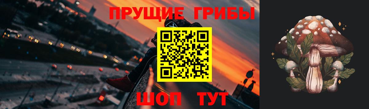 Псилоцибиновые грибы ЛСД  Вход с VPN  Зеленокумск 